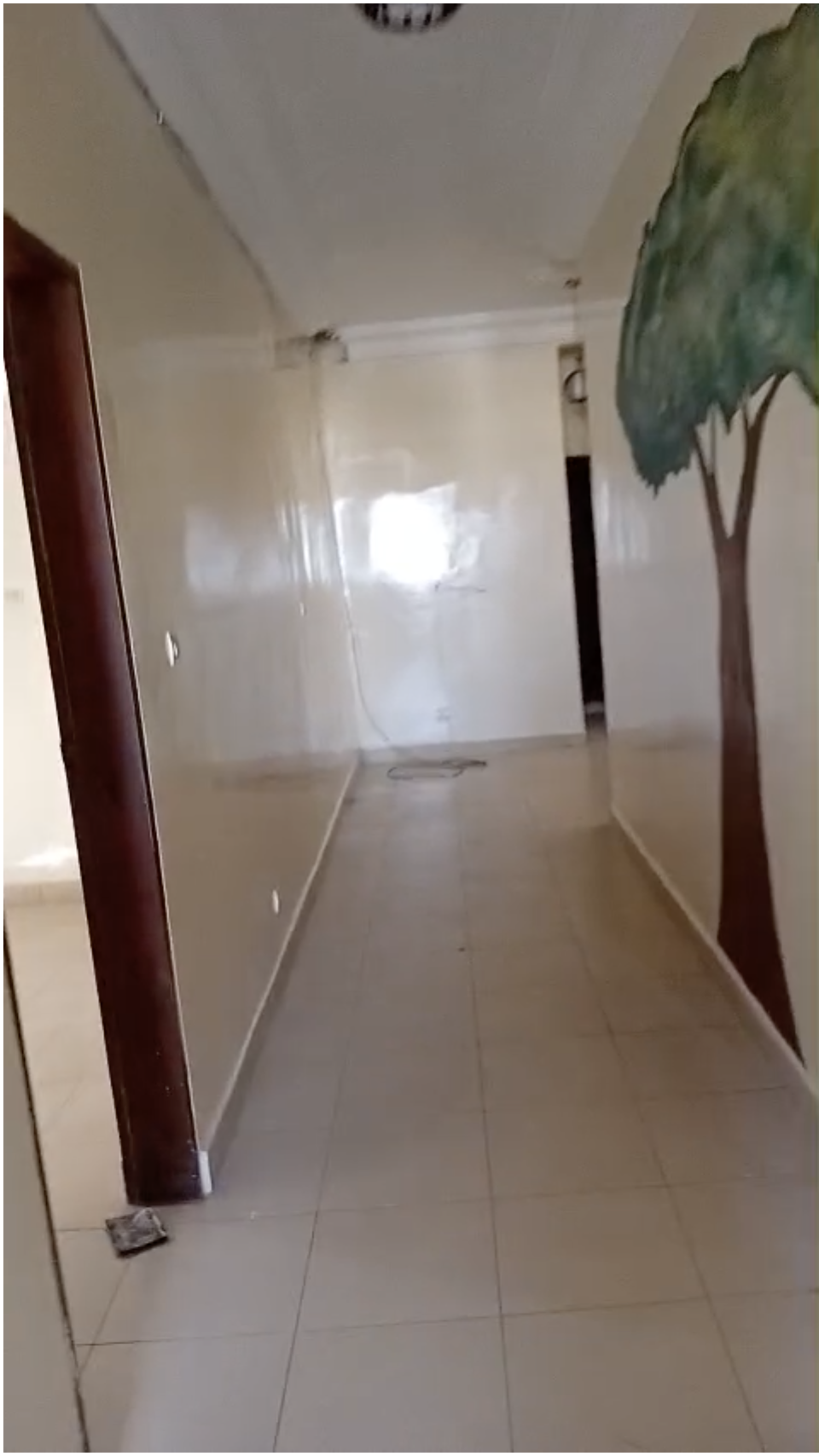 rès jolie appartement à louer